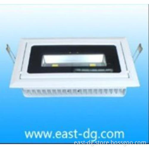 2013 hot sale 20W 2 pcs COB led recessed down light, CE & RoHS certs